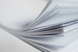 Paper Board (Pastel and Bright), Papaer (Pasterl and Bright), Continuous, Copier, Speciality